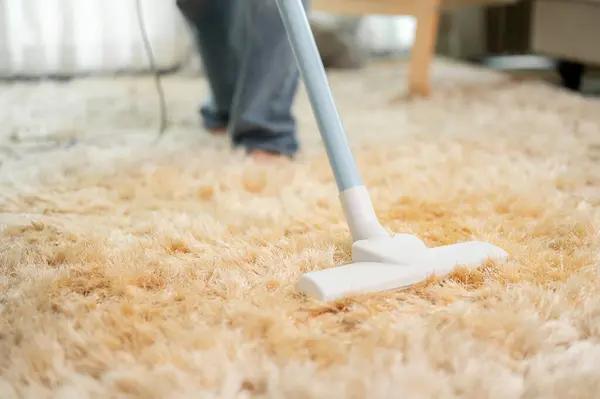 Tacoma Carpet Cleaner: Removing Pet Stains and Odors